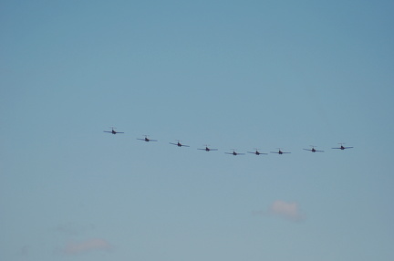 DSC_0029.jpg
