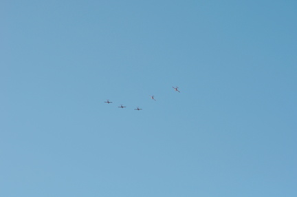 DSC_0948.jpg
