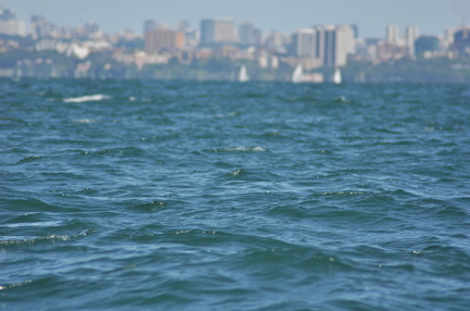DSC_0161.JPG